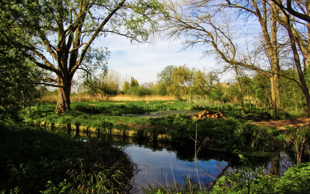 wandle trail